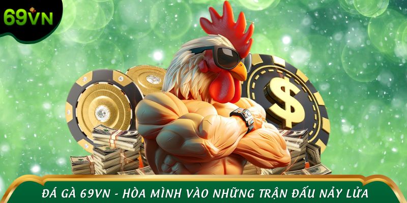 Đá gà 69VN - Hòa mình vào những trận đấu nảy lửa