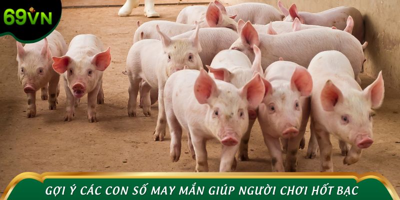 Gợi ý các con số may mắn giúp người chơi hốt bạc nhanh chóng