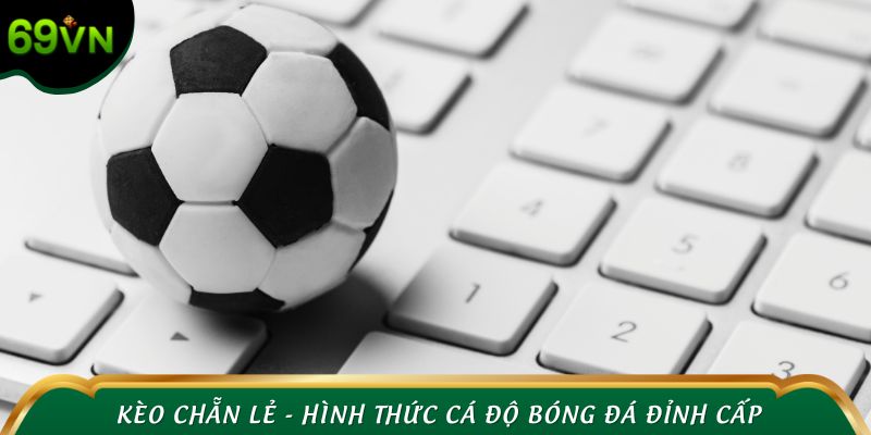 Kèo chẵn lẻ - Hình thức cá độ bóng đá đỉnh cấp