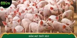 Nằm Mơ Thấy Heo: Lộc Lá Đầy Nhà Hay Điềm Cảnh Báo?