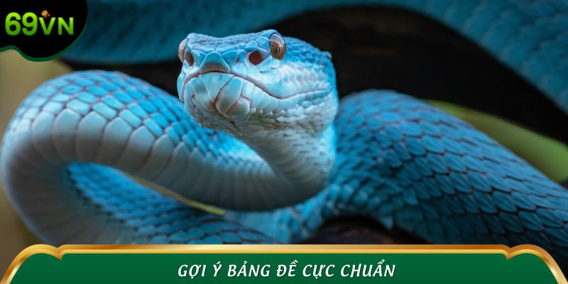Nằm mơ thấy rắn đánh số gì thắng lớn? - Gợi ý bảng đề cực chuẩn