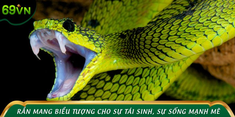 Rắn mang biểu tượng cho sự tái sinh, sự sống mạnh mẽ