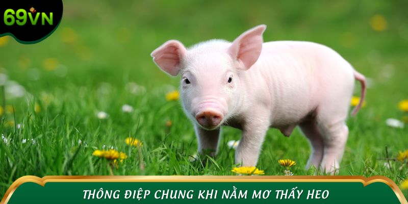 Thông điệp chung khi nằm mơ thấy heo