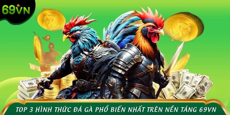 Top 3 hình thức đá gà phổ biến nhất trên nền tảng 69VN